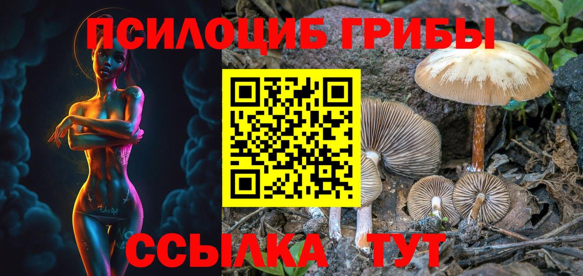 Псилоцибиновые грибы Psilocybine cubensis  Вход с VPN  Соликамск  Псилоцибиновые грибы Magic Shrooms 